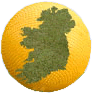Irish CA